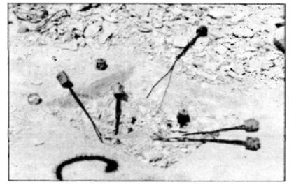 Anchorage excavated to expose anshor cones