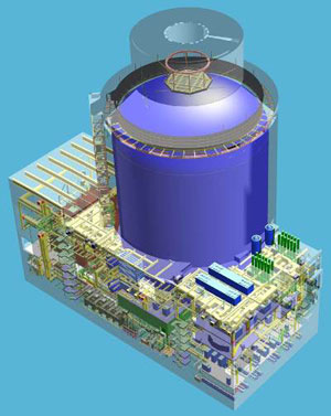 AP1000 reactor